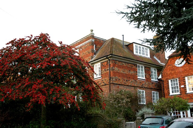 min 2005 11 26 rye 057